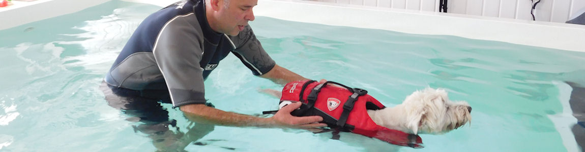 Holmarsh Canine Hydrotherapy Somerset