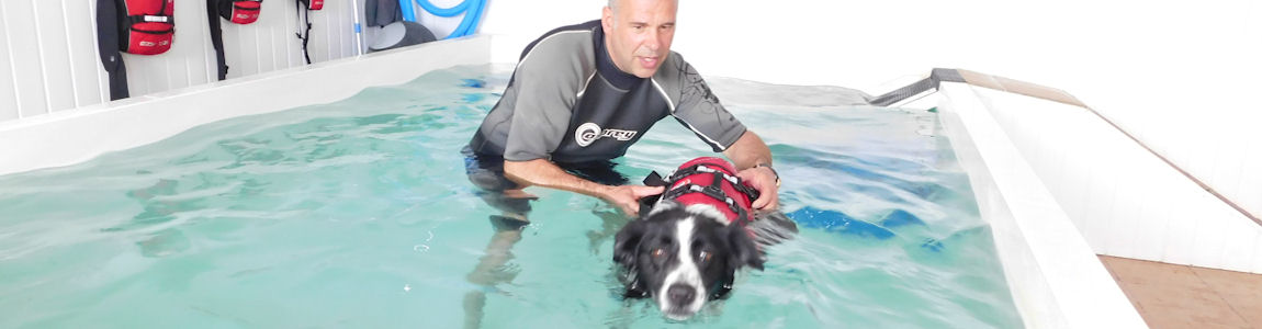 Treatment Benefits
Hydrotherapy works to help a variety of conditions including orthopedic, neurological and soft tissue injuries.